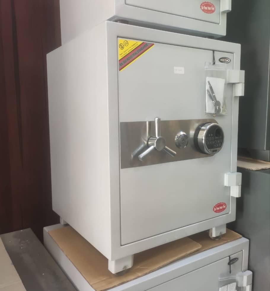  FDM2 SAFE + FREE DELIVERY