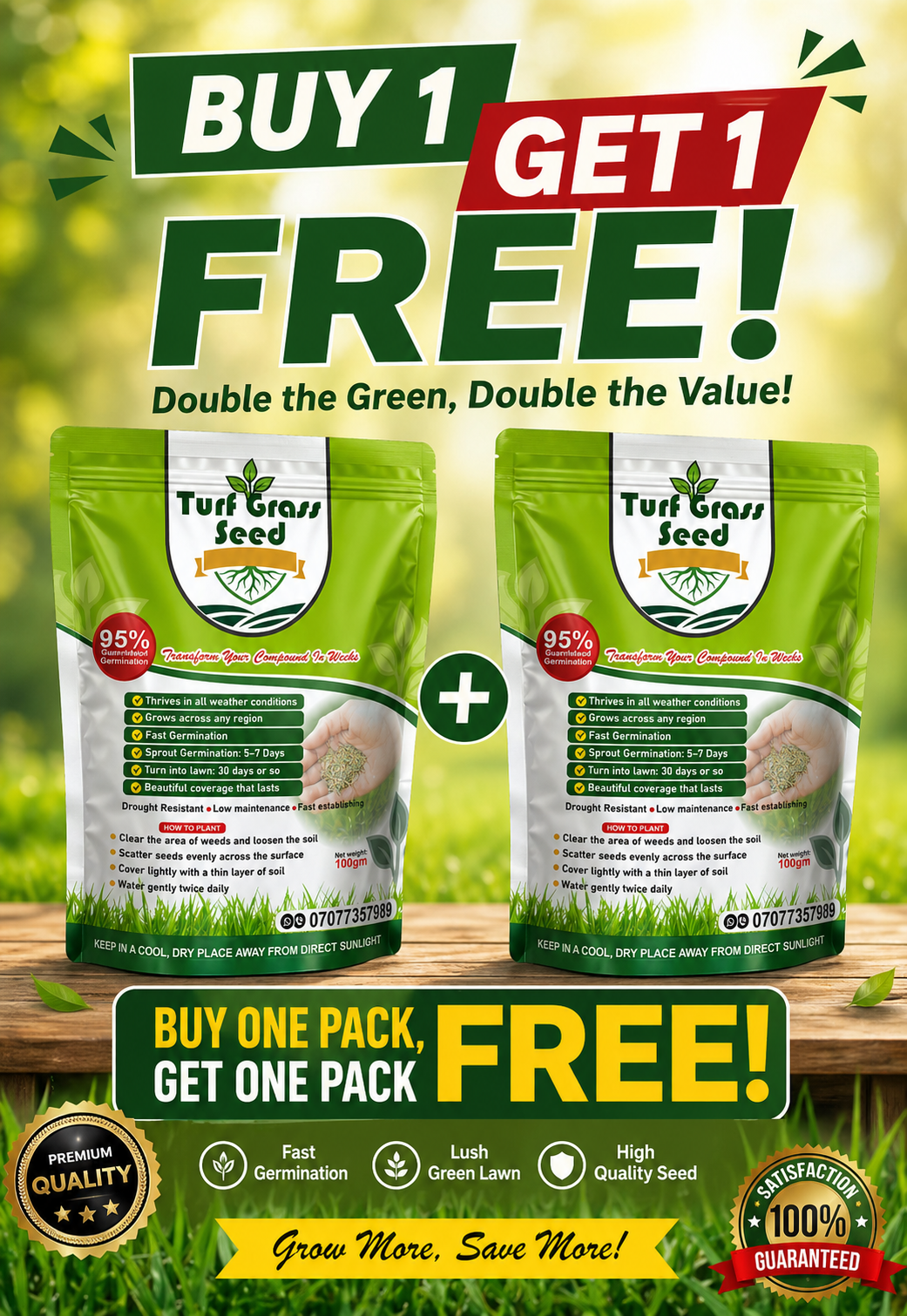 TURF GRASS SEED